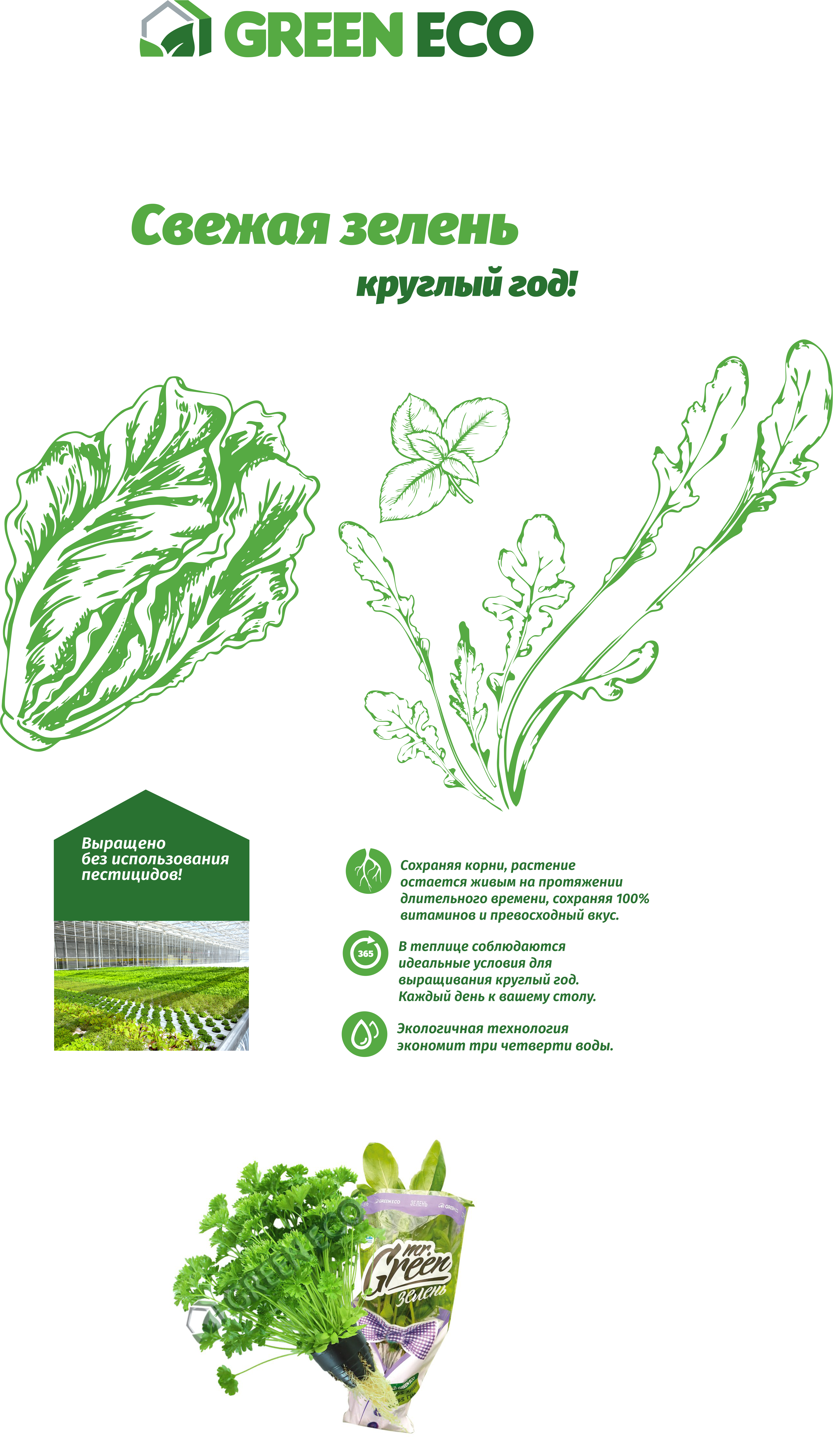 green eco